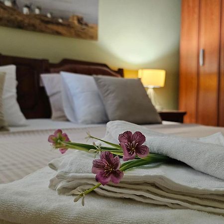Lalovina Apartment ヘルツェグ・ノヴィ エクステリア 写真